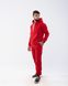 Мужской спортивный костюм Alex цвет красный р.L/XL 442223 442223 фото 4