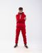 Мужской спортивный костюм Alex цвет красный р.2XXL 442224 442224 фото 1
